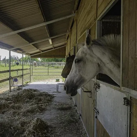 La Belle Des Champs Casa vacanze Ruvigny