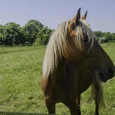 La Belle Des Champs Ruvigny